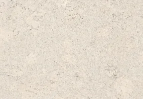 Amorim Wise Cork PURE (Glue-Down) - Personality Moonlight