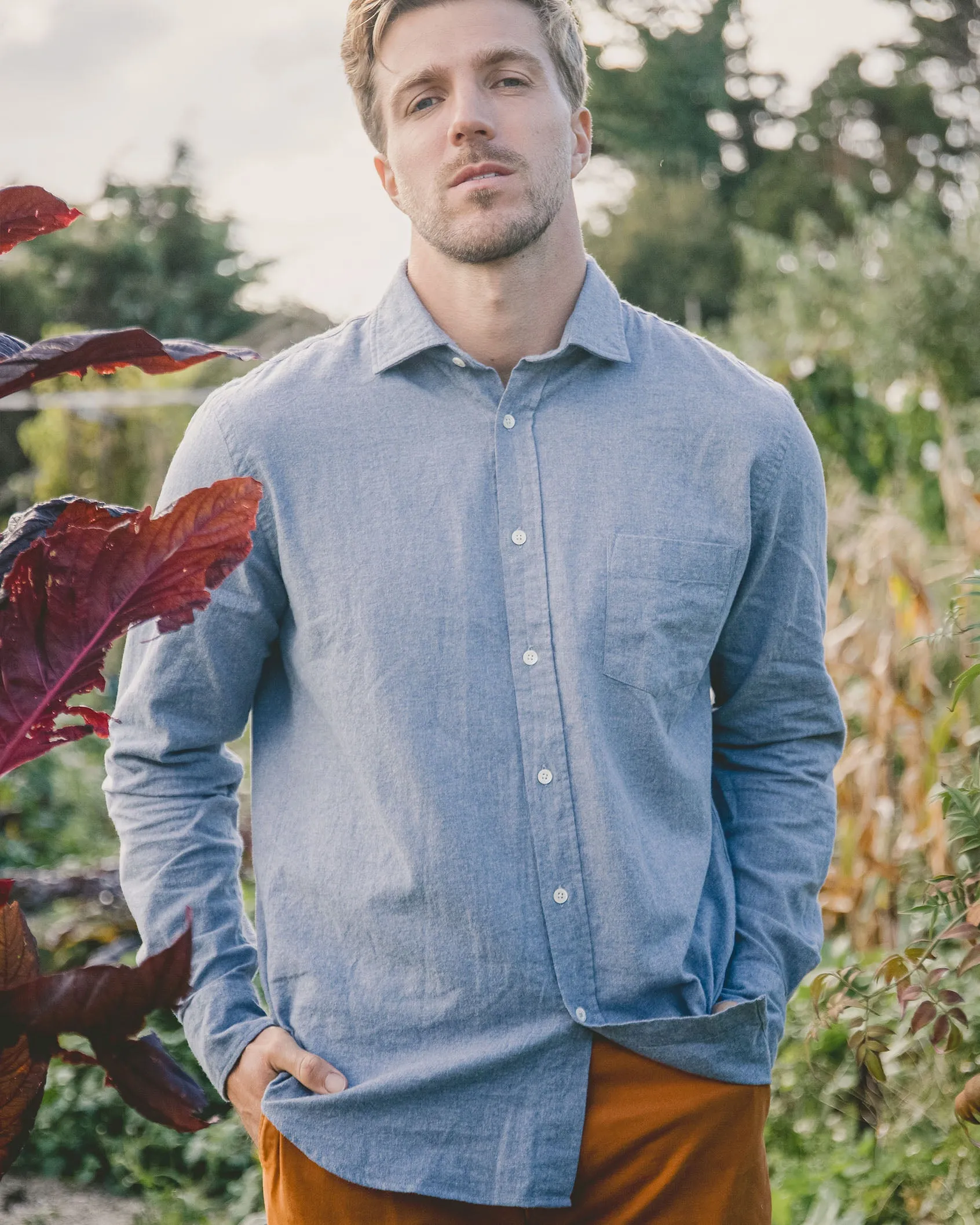 Hartford Derek Blue Brushed Cotton Shirt